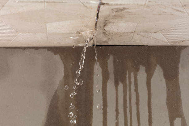 Professional Flood Damage Cleanup technician working in Proctor, AR